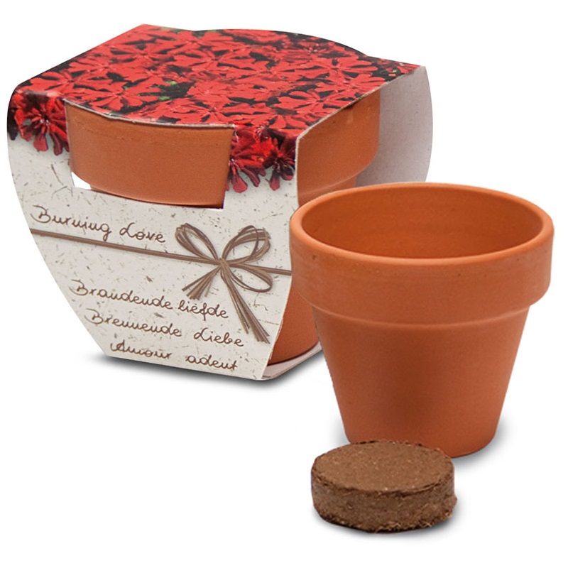 Terracotta potje in doosje - Afbeelding 2